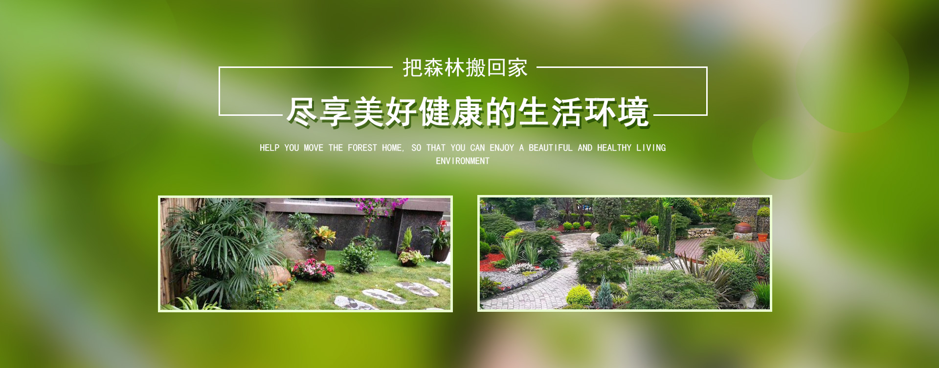重慶植物租賃,重慶市宜嬌園林有限公司