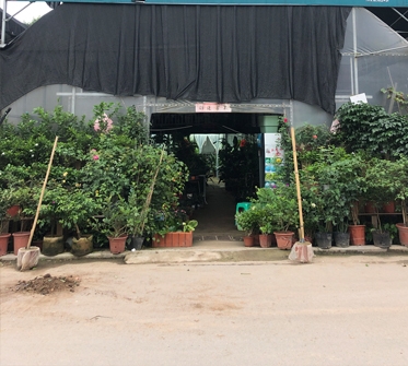 園林景觀(guān)設(shè)計(jì)中要注重植物保護(hù)工作